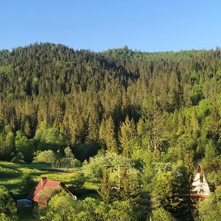 ванда * Orawczyk